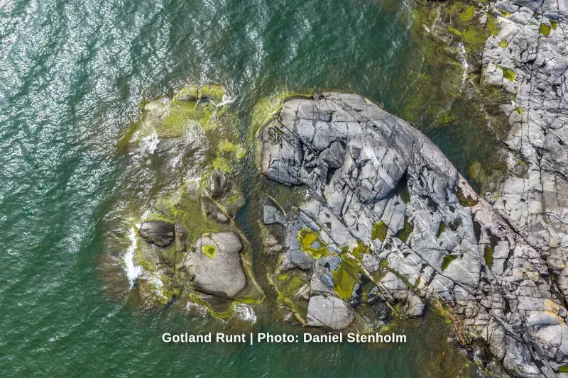 260629_Gotland-Runt_Foto-Daniel-Stenholm_DJI_20260629145517_0737_D-HDR.jpg